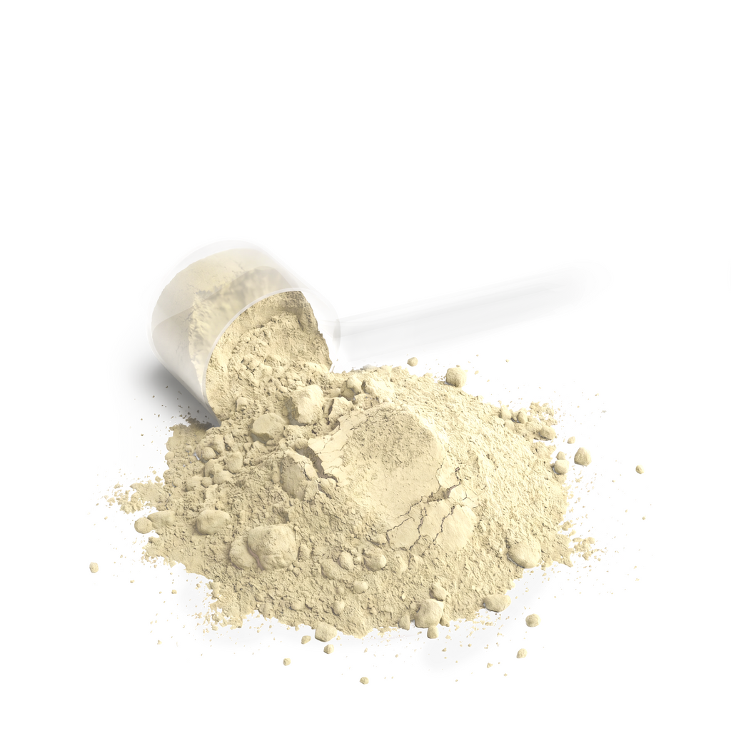 Performance Whey Protein Blend – Vanilla – 22g Protein