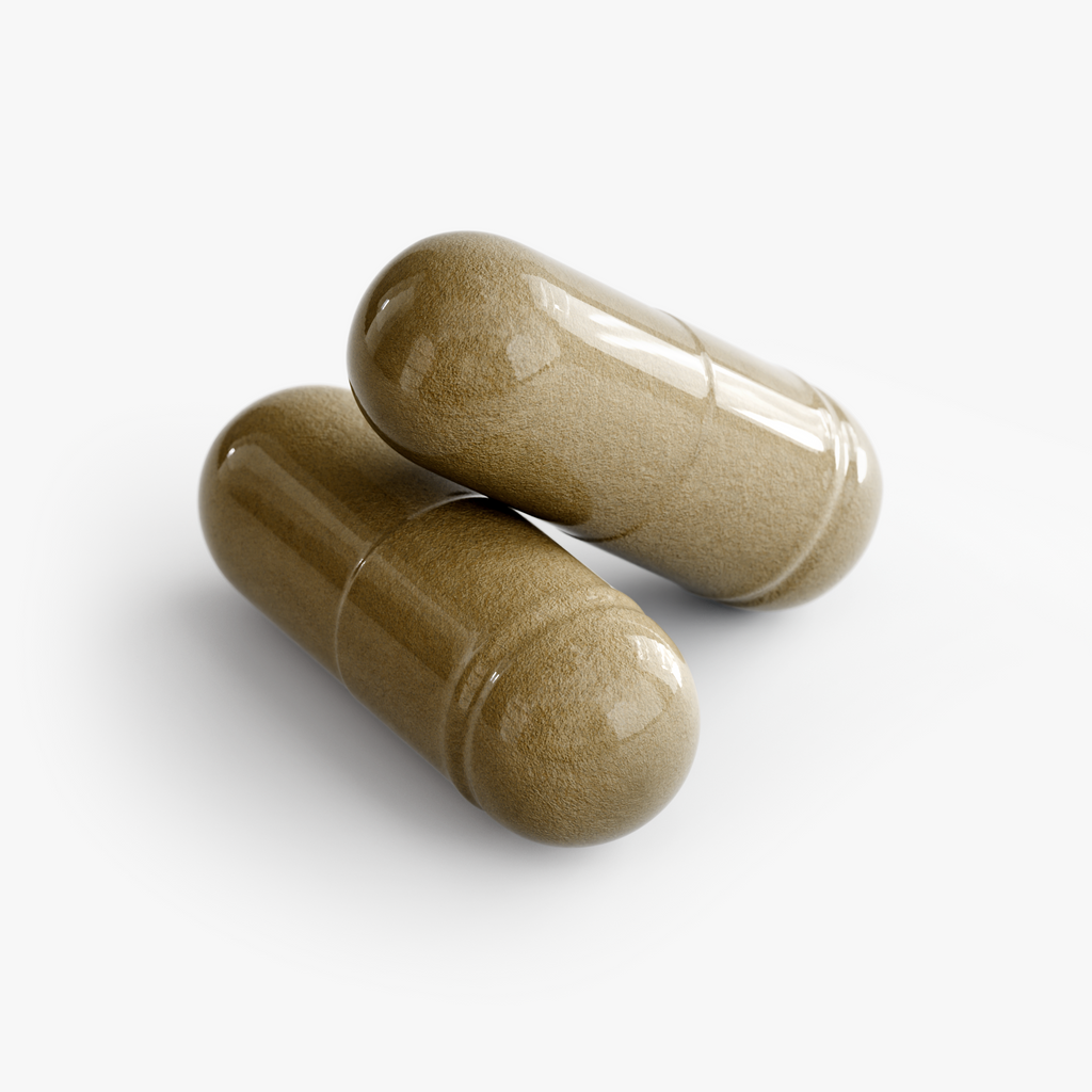 Ginkgo Biloba + Ginseng – Focus & Mental Clarity – 60 Capsules